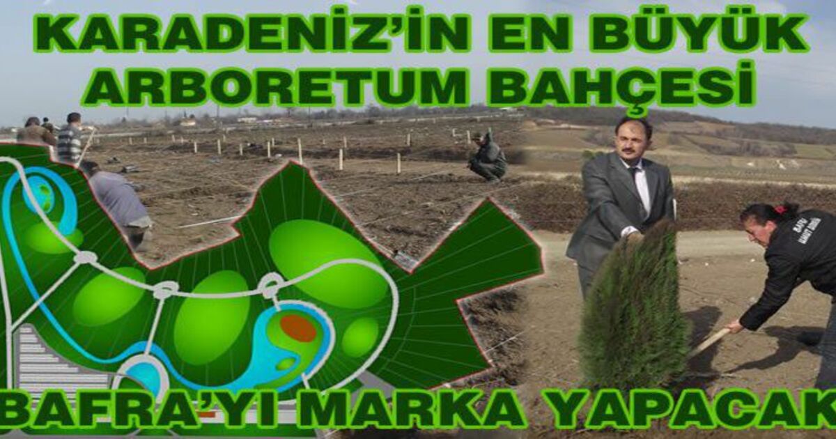 Bafra`da Karadeniz`in En Büyük Arboretum Çalışmaları