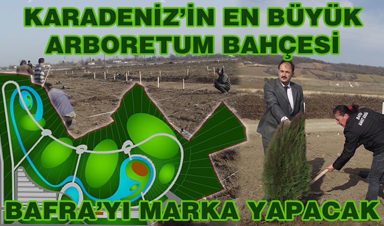 Bafra`da Karadeniz`in EnBüyük Arboretum Çalışmaları - Samsun`un Bafra ilçesinde Karadeniz`in en büyük arboretum çalışmaları hızla devam ediyor