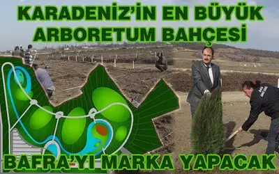 Bafra`da Karadeniz`in En Büyük Arboretum Çalışmaları