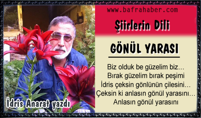 Siirlerin dili