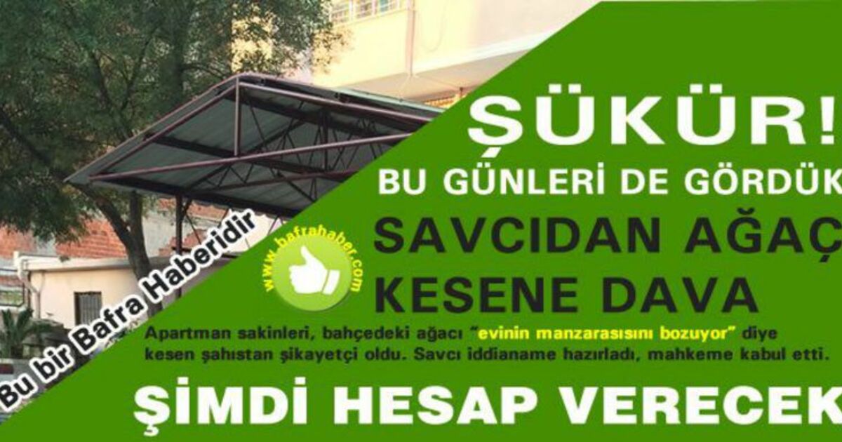 Bafra`da Savcıdan Ağaç Kesene Dava