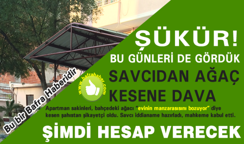 Bafra`da Savcıdan Ağaç Kesene Dava - Bafra Haber Özel - Samsun`un Bafra ilçesinde apartmana ait 2 ağacı izinsiz kesen bir apartman sakini hakkında dava açıldı.