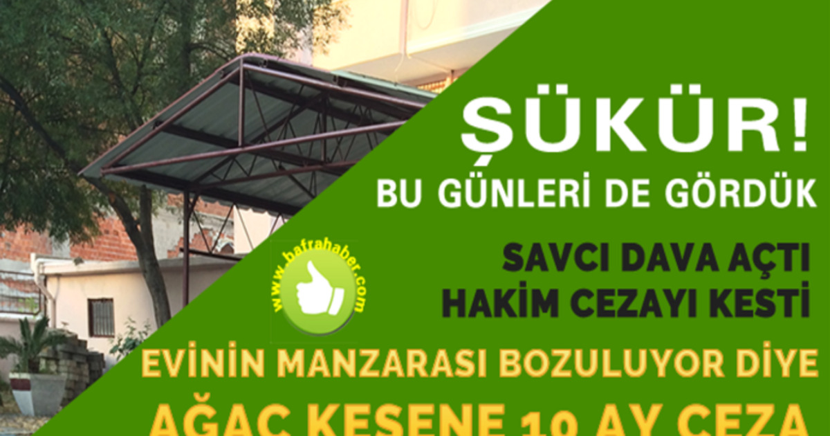 Apartman Bahçesinde İzinsiz Ağaç Kesmeye 10 Ay Ceza