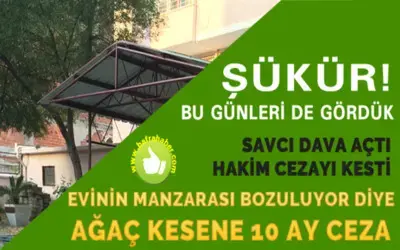 Apartman Bahçesinde İzinsiz Ağaç Kesmeye 10 Ay Ceza