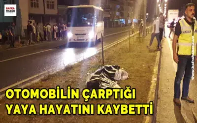Otomobilin çarptığı şahıs hayatını kaybetti, eşi yaralandı