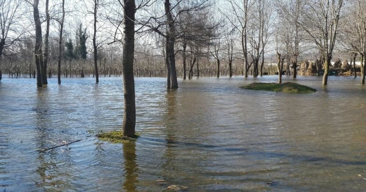 Bafra'da Yer Altı Suları Bahçe Ve Tarım Arazilerini Göle Çevirdi