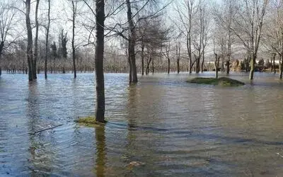 Bafra'da Yer Altı Suları Bahçe Ve Tarım Arazilerini Göle Çevirdi