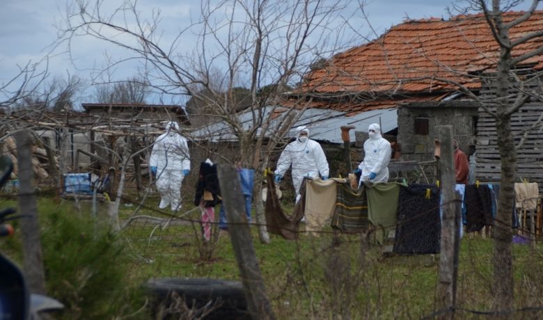 Bafra’da Kümes Hayvanı İtlafları Devam Ediyor - Samsun'un Bafra ilçesinde Gıda, Tarım ve Hayvancılık İl Müdürlüğü ekiplerince çok sayıda kümes hayvanı itlaf edildi.