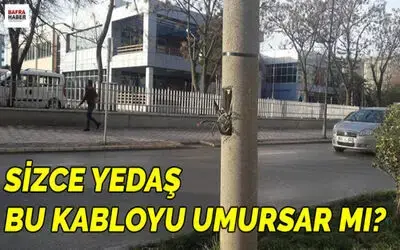 Sizce Yedaş Bu Kabloyu Umursar Mı?