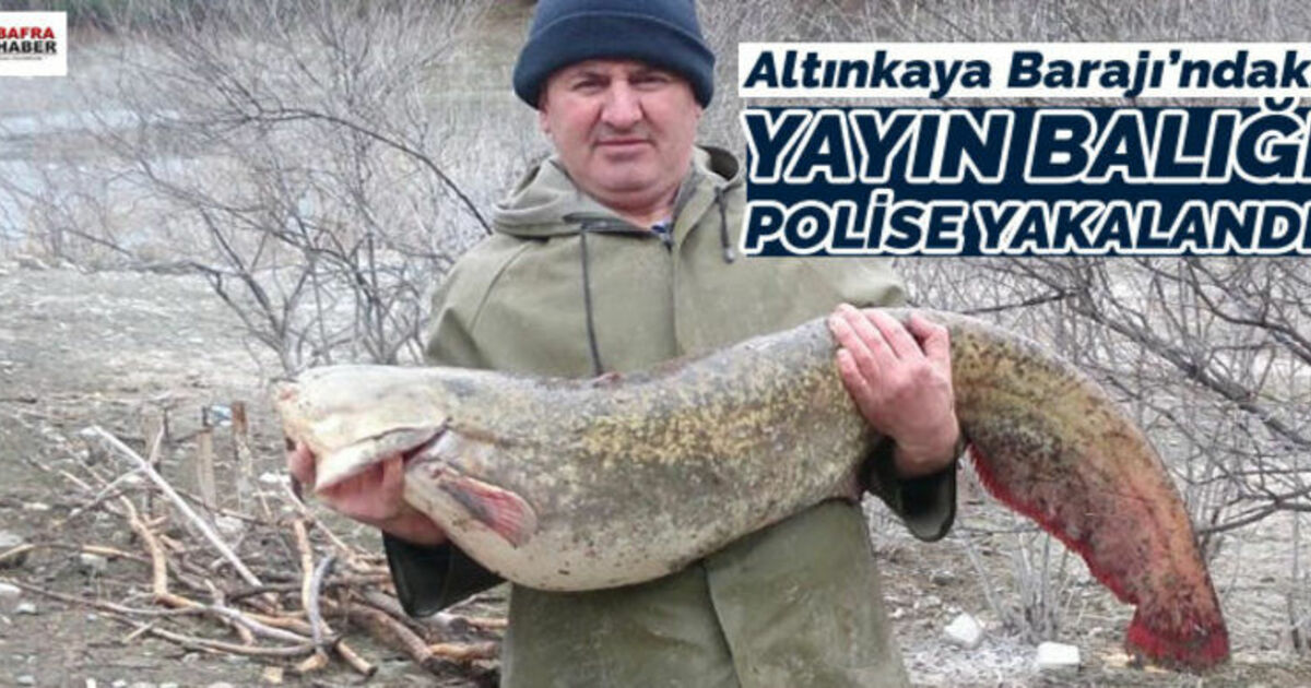 Polis Memurunun Ağına Dev Yayın Balığı Takıldı