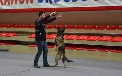 "İbre" Ayakta Alkışlandı