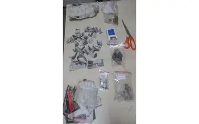 33 Paket Bonzai İle İlgili 3 Kişi Serbest