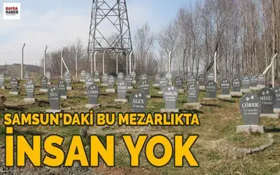 Bu Barınakta Hayvan Mezarlığı Var