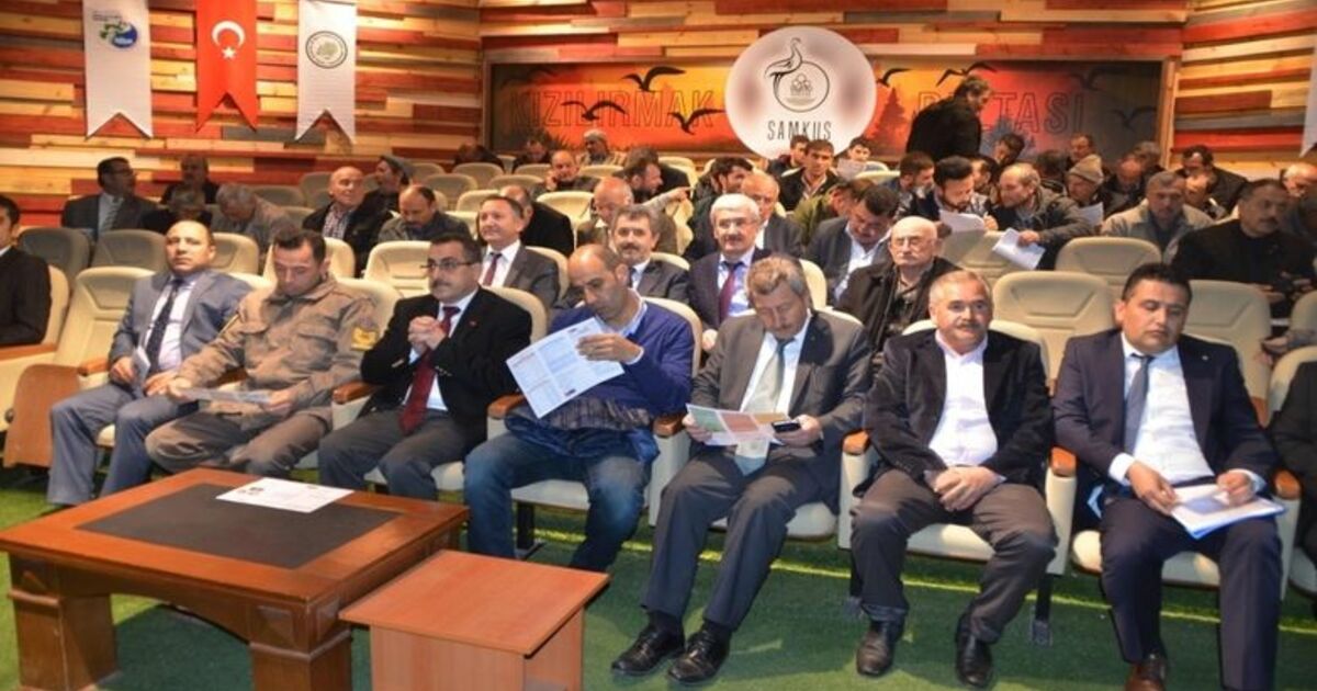 Manda Sütünün Markalaşma Yolculuğu