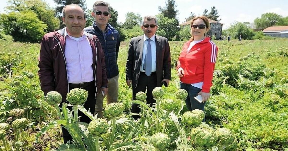 Cansuyu Desteği Yüz Güldürdü