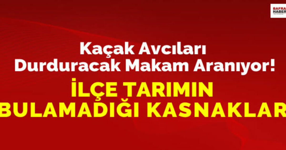 Kaçak Avcıları Durdurucak Makam Aranıyor