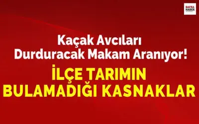Kaçak Avcıları Durdurucak Makam Aranıyor