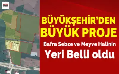 Bafra Sebze Ve Meyve Hali Çetinkaya’ya Yapılacak
