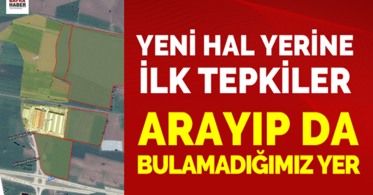 Yeni Hal Yerine İlk Tepkiler!