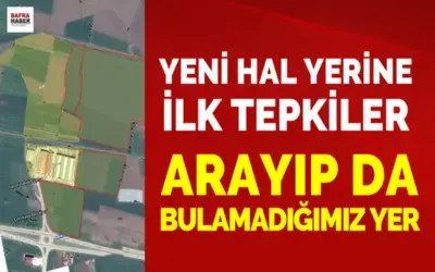 Yeni Hal Yerine İlk Tepkiler!