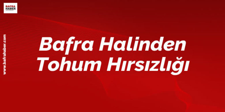 Karnabahar Ve KırmızılahanaTohumu Çalan Zanlı Tutuklandı - Ahmet Şükrü Uluçay SAMSUN (İHA) - Samsun`un Bafra ilçesinde, konteynerden karnabahar ve kırmızılahana tohumu çaldığı iddia edilen zanlı tutuklandı. 