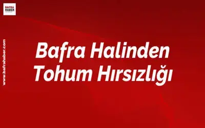 Karnabahar Ve Kırmızılahana Tohumu Çalan Zanlı Tutuklandı