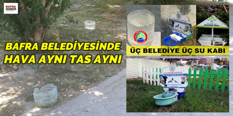 Bafra Belediyesi Aynı Hava Aynı Tas - Bafra Belediyesi Aynı hava aynı tas