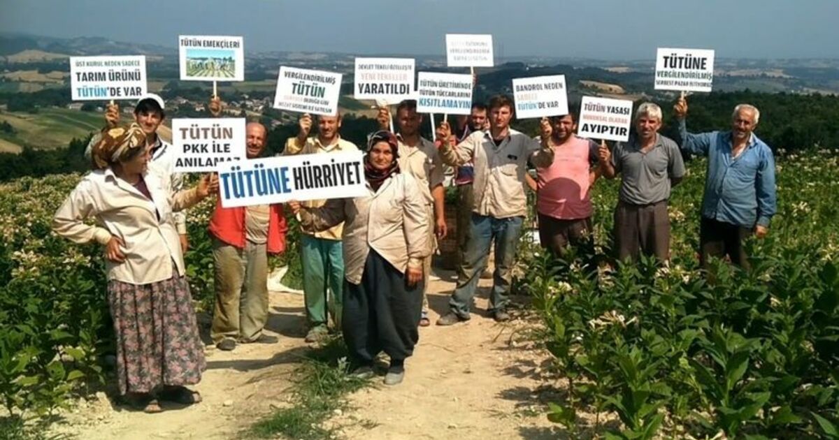 Tütün Üreticileri Serbest Pazar İstiyor Tüccardan Şikayetçi Olan Üreticiler, "Tütüne Hürriyet” Diyerek Serbest Pazar İçin Yetkililere Seslerini Duyurmaya Çalışıyor