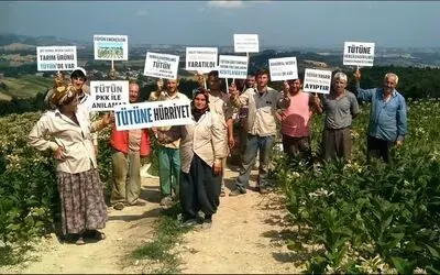 Tütün Üreticileri Serbest Pazar İstiyor Tüccardan Şikayetçi Olan Üreticiler, "Tütüne Hürriyet” Diyerek Serbest Pazar İçin Yetkililere Seslerini Duyurmaya Çalışıyor
