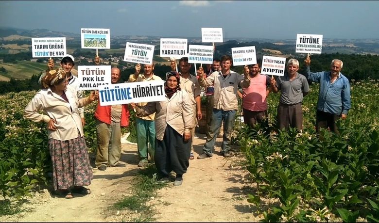 Tütün Üreticileri Serbest Pazar İstiyor Tüccardan Şikayetçi Olan Üreticiler,"Tütüne Hürriyet” Diyerek Serbest Pazar İçin Yetkililere Seslerini Duyurmaya Çalışıyor - Samsun'un Bafra ilçesinde kırsal kesimdeki tütün üreticileri serbest pazar istiyor.