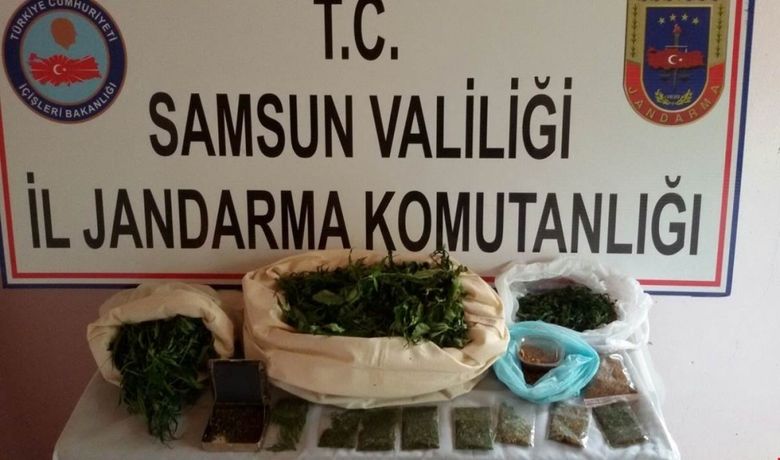 Samsun’da Uyuşturucu Operasyonları Bin 407 KökKenevir Ve 8.722 Gram Esrar Ele Geçirildi - Samsun’da gerçekleştirilen uyuşturucu operasyonlarında bin 407 kök kenevir bitkisi ve 8.722 gram kubar esrar ele geçirildi.
