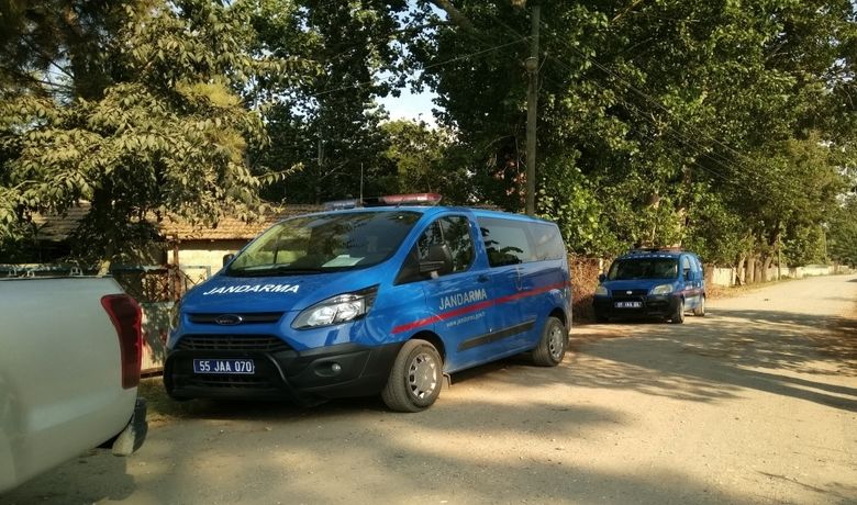 Bafra’da Jandarma Uyuşturucuya Göz Açtırmıyor - Samsun'un Bafra ilçesinde jandarmanın düzenlediği operasyonlarda 365 kök Hint keneviri ve 50 gram kubar esrar ele geçirildi.