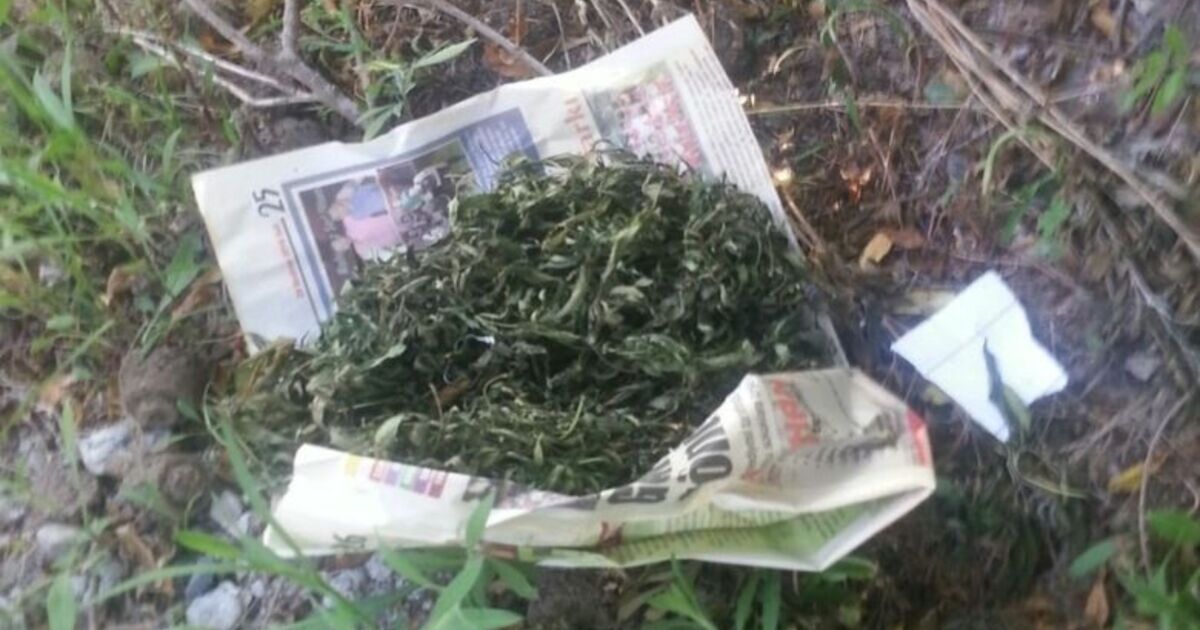 Bafra'da Uyuşturucu Operasyonu