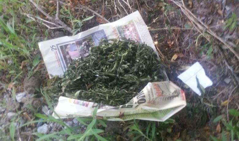 Bafra'da Uyuşturucu Operasyonu - Samsun'un Bafra ilçesinde jandarmanın düzenlediği operasyonlarda 430 kök Hint keneviri, 2 bin 650 gram kubar esrar, 86 gram toz ve 200 gram Hint keneviri tohumu ele geçirildi.