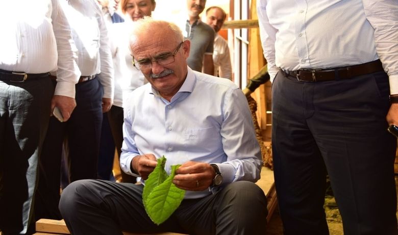 Vali Ve Başkan Tütün Dizdi - Samsun Valisi Osman Kaymak ile Büyükşehir Belediye Başkanı Yusuf Ziya Yılmaz Bafra ilçesinde ziyaret ettikleri Tütün Müzesinde tütün dizdi.