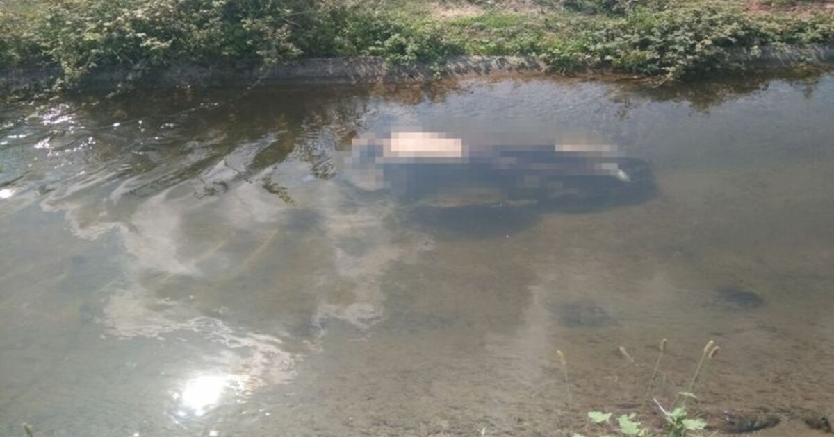 Sulama Kanalında Erkek Cesedi Bulundu