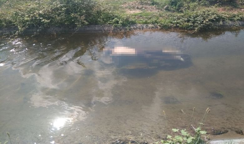 Sulama Kanalında Erkek Cesedi Bulundu - Samsun'un Bafra ilçesinde su kanalında bir erkek cesedi bulundu.