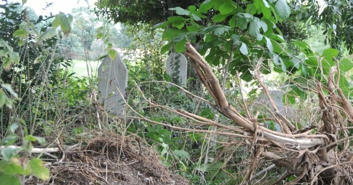 Yanlıştan Dönüldü Bafra Belediye Başkanı Zihni Şahin: "Bir Yanlışlık Olmuş, Çalışmaları Durdurduk"