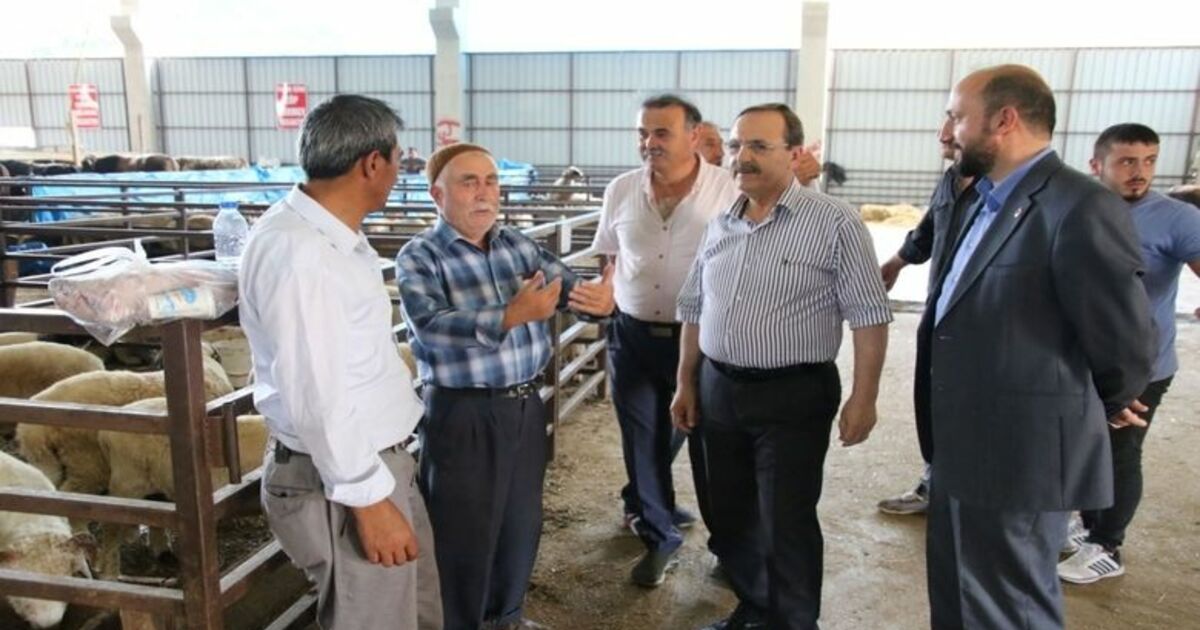 Başkan Şahin, Hayvan Pazarını İnceledi