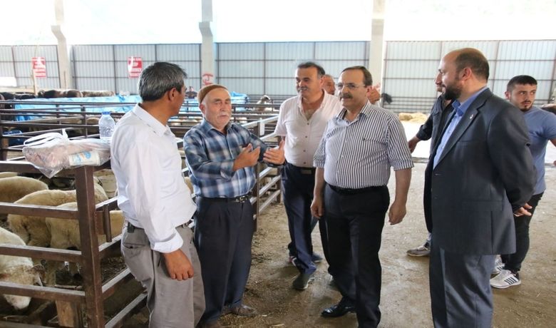 Başkan Şahin, Hayvan Pazarını İnceledi - Bafra Belediye Başkanı Zihni Şahin, ilçede bulunan Canlı Hayvan Pazarını ziyaret ederek, alışveriş yapan vatandaşlarla sohbet etti, istek ve önerilerini dinledi.