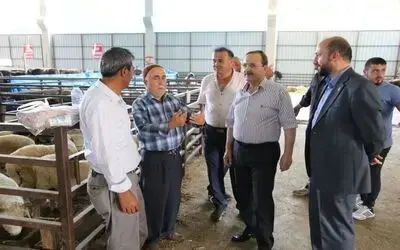 Başkan Şahin, Hayvan Pazarını İnceledi