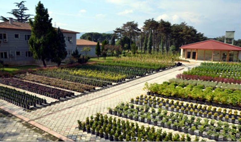 Samsun’da Bu Yıl 4,8 Milyon Fidan Üretildi - Amasya Orman Bölge Müdürlüğü, Samsun’un merkezinde ve 2 ilçesindeki fidan üretim tesislerinde toplam 4 milyon 800 bin adet fidan üretti, 4 milyon 550 bin fidanın da bakımını gerçekleştirdi.