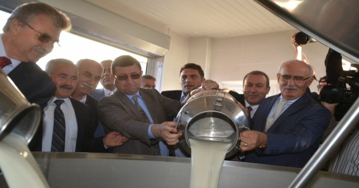Bafra’da Damızlık Manda Üreticileri Birliği Süt Toplama Merkezi Açıldı