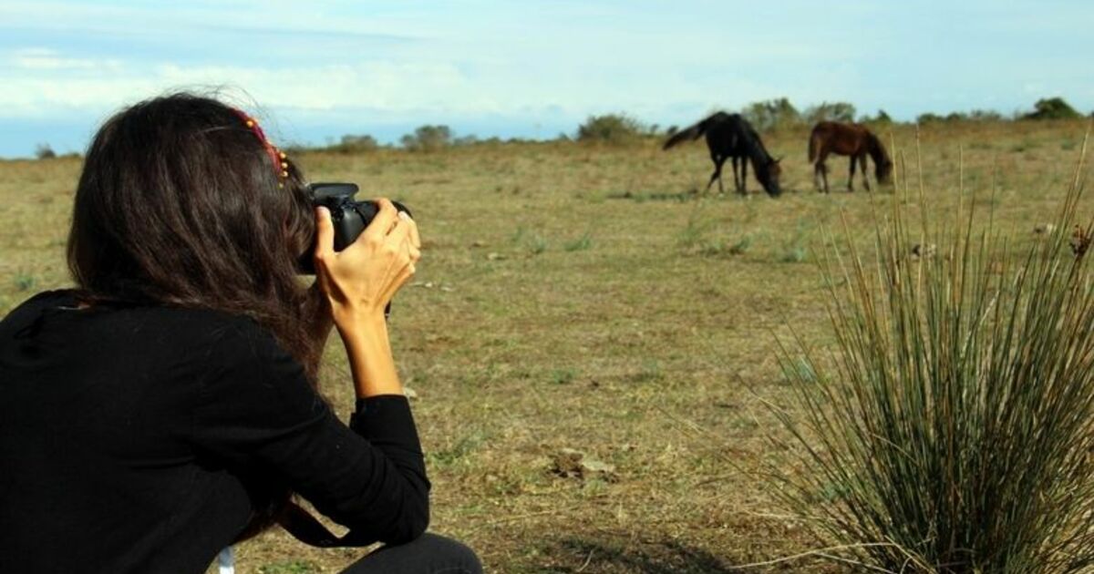 ‘fotoğraf Avcılarına Rastgele’ Kuş Cenneti, “foto Safari” İle Dünyaya Tanıtılacak
