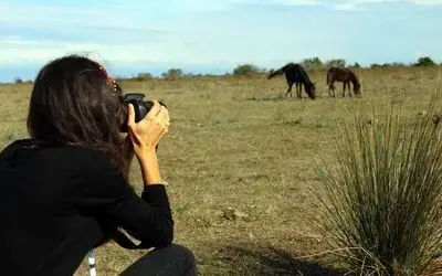 ‘fotoğraf Avcılarına Rastgele’ Kuş Cenneti, “foto Safari” İle Dünyaya Tanıtılacak