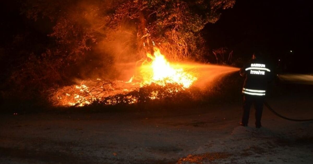 Ağaçlık Alanda Çıkan Yangın Söndürüldü