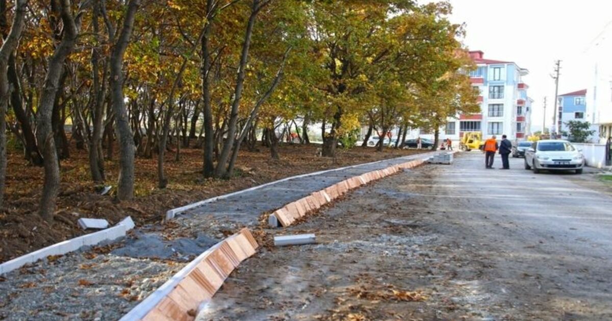 Bafra Belediyesi Kent Ormanı Kurma Çalışmalarına Başladı