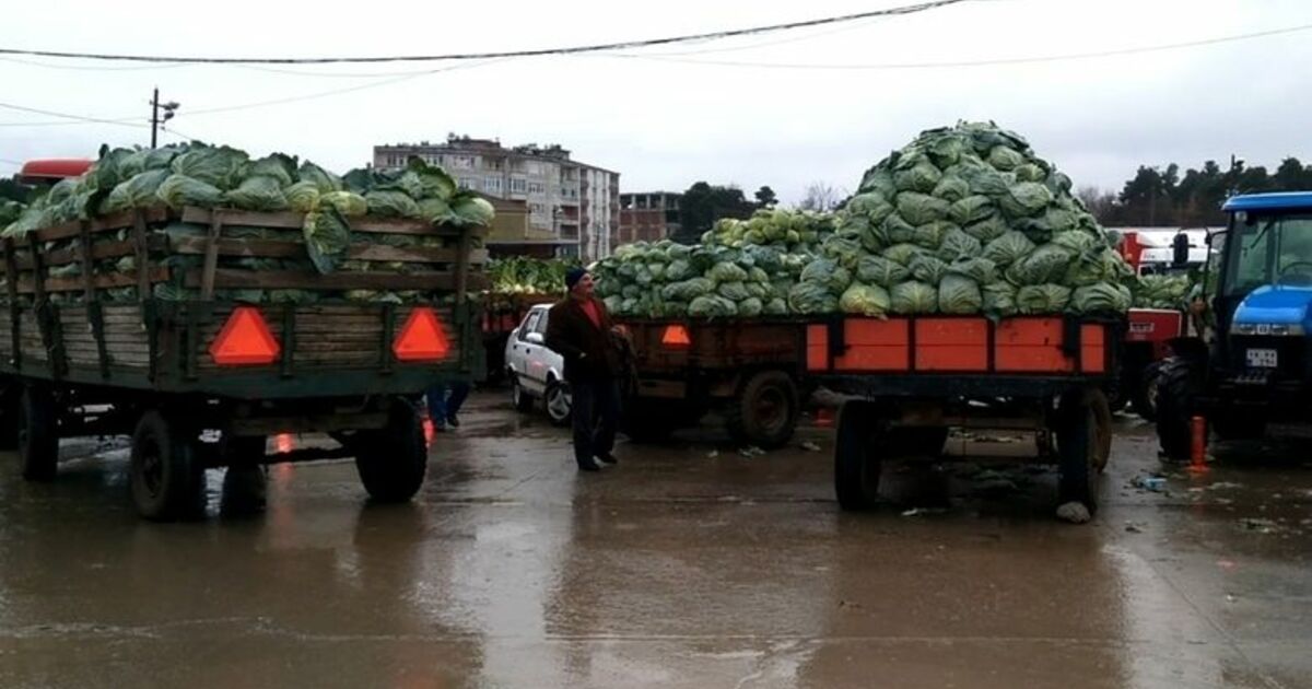 Kışlık Sebze Üreticileri Pazar Sorunu Yaşıyor Ürünün İhraç Edilmesi İçin Yetkililerden Yardım Bekliyorlar