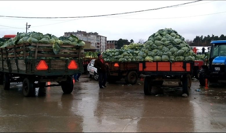 Kışlık Sebze Üreticileri Pazar Sorunu YaşıyorÜrünün İhraç Edilmesi İçin Yetkililerden Yardım Bekliyorlar - Samsun’un Bafra ilçesinde kışlık sebze üreticileri ürünlerinin para etmediğini, pazar sorunu yaşadıklarını söyledi.