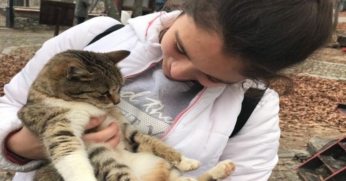 Öğrenciler Kedi Kasabası'nı Gezdi